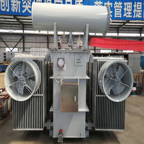 若尔盖10KV油浸式变压器